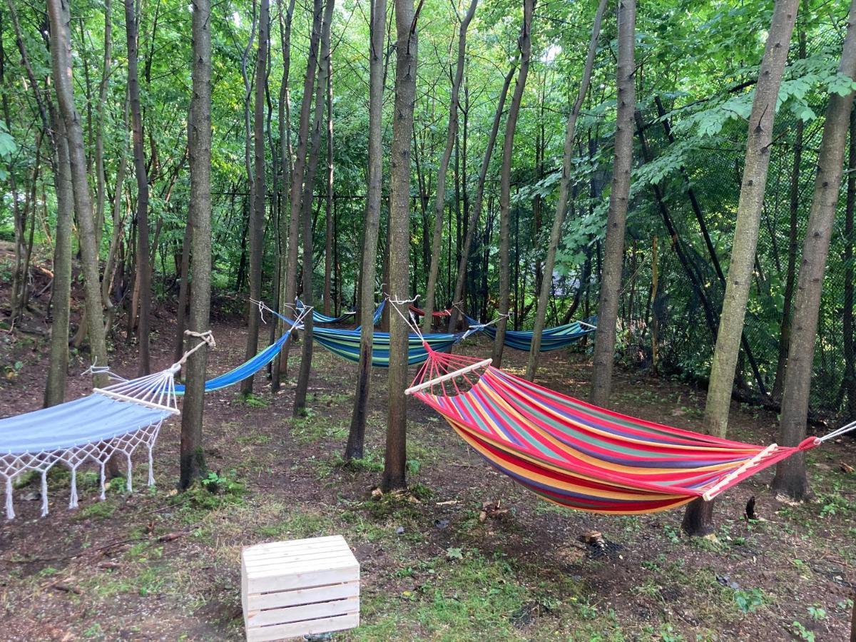 Glampspace - Szlak Beskidzki Hotell Międzybrodzie Bialskie Exteriör bild