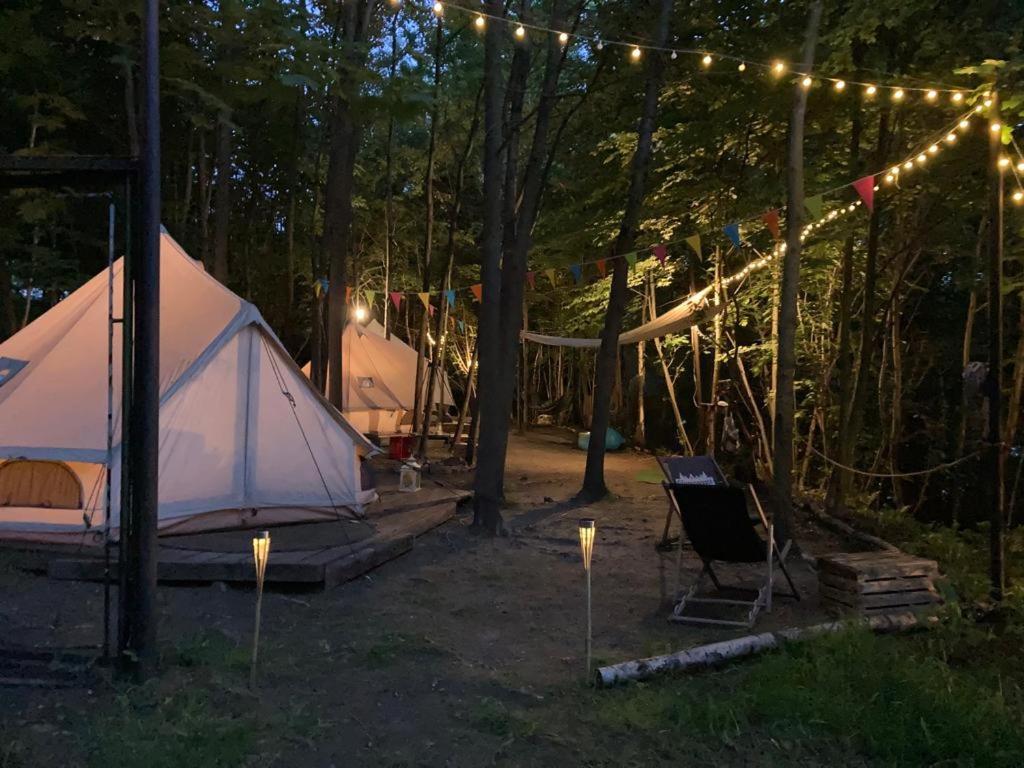 Glampspace - Szlak Beskidzki Hotell Międzybrodzie Bialskie Exteriör bild